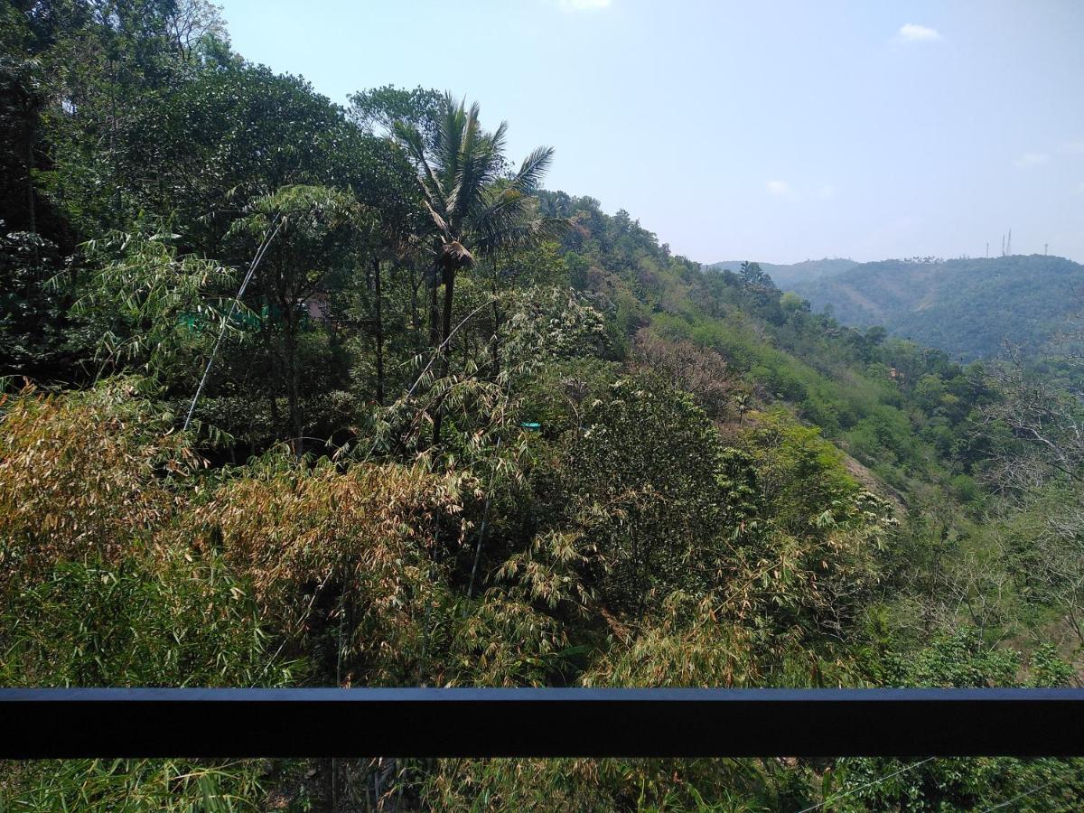 Spring And Valley View Thekkady Kültér fotó